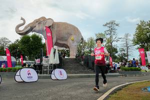 BIB: 
                            <button type="button" onclick="openModal(26528956)" class="btn btn-primary btn-sm float-right btn-popup" data-toggle="modal" data-target=".modal-high-quality">
                        <i class="fas fa-shopping-cart"></i> Add to Cart
                    </button>
                                            <button type="button" onclick="isThisMe(26528956, true)" class="btn btn-success btn-sm float-right btn-popup btn-isme hidden" data-toggle="tooltip" data-placement="bottom" title="นี่คือรูปของคุณใช่ไหม คลิกที่นี่เพื่อเอาเข้าอัลบั้ม">
                        <i class="fas fa-plus"></i> Add to album
                    </button>
                    <button type="button" onclick="isThisMe(26528956, false)" class="btn btn-warning btn-sm float-right btn-popup btn-isnotme hidden">
                        <i class="fas fa-ban"></i> Remove from album
                    </button>